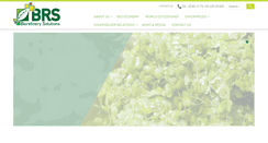 Desktop Screenshot of biorefinerysolutions.com